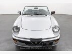 Thumbnail Photo 0 for 1988 Alfa Romeo Spider Quadrifoglio